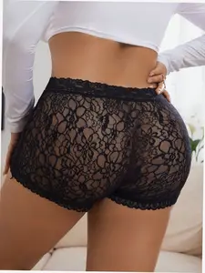 Plus Size Sheer Lace Briefs Sexy High Waist Comfy Everyday Lingerie
