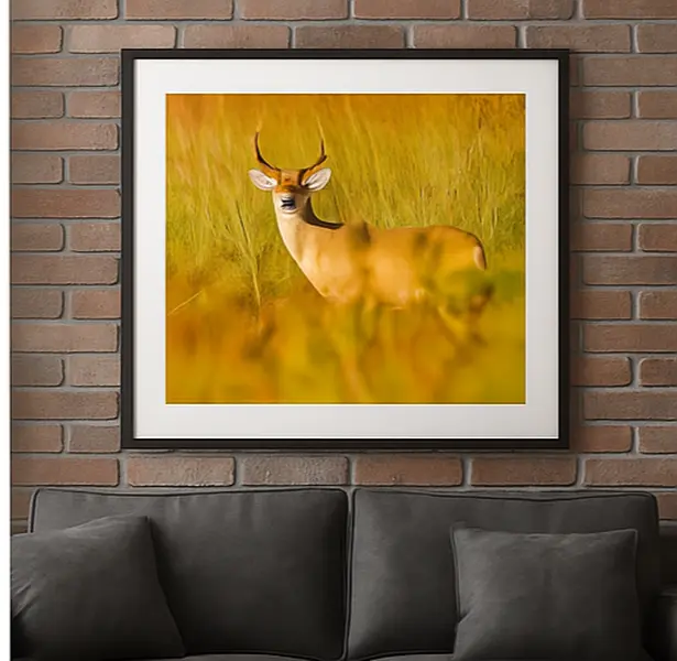 Artistic Golden Hour Buck Deer Wildlife Photography Print - Framed Hanging Wall Decoration with Light for Hunter Rooms, Nature-Inspired Home Decor