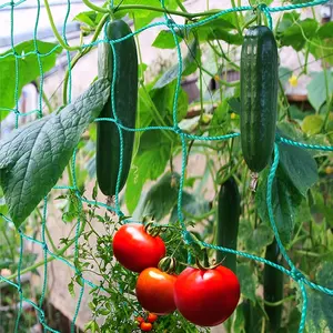 Garden Trellis Net, Plant Climbing Net, Fruit Support Net, Nylon Reinforced Cucumber Squash Holder, Durable Growth Net for Yard Garden, Prevents Falling
