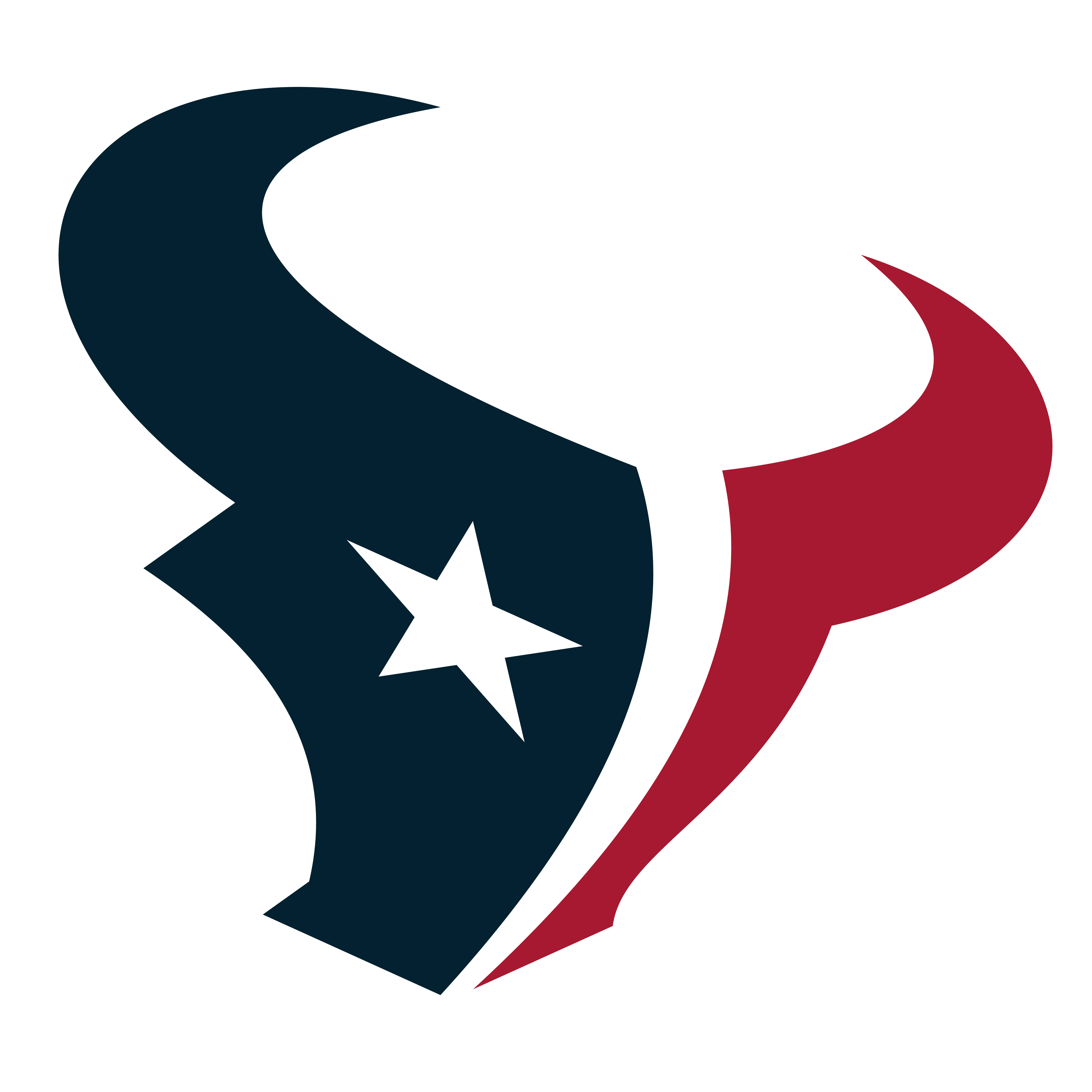 TEXANS