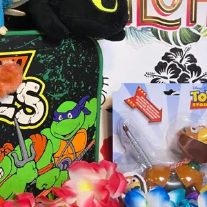 Assorted Fun for boys - 1 scp