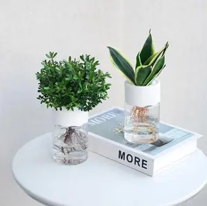 Transparent Small Hydroponic Plant Pot