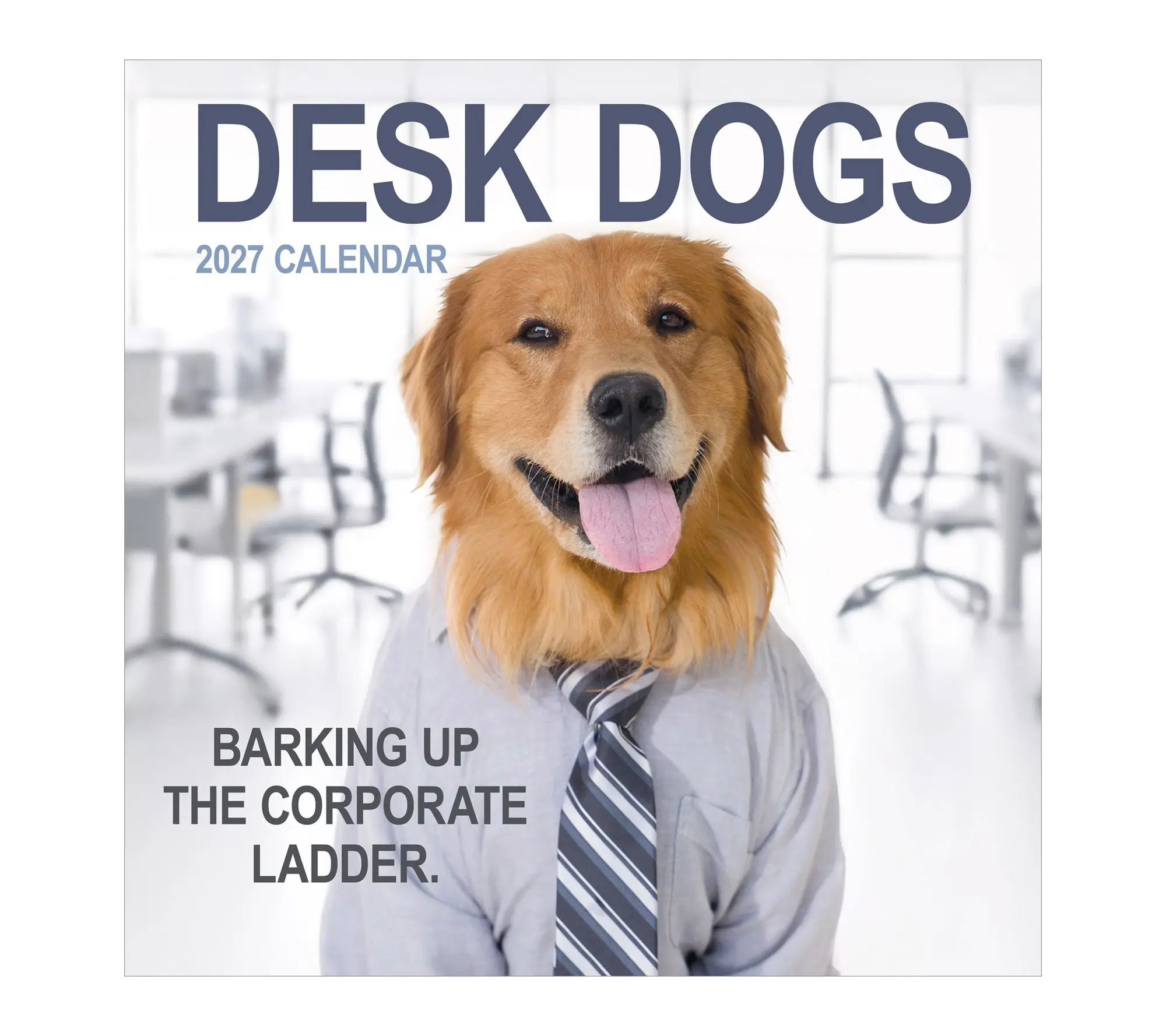 TF Publishing 2027 Desk Dogs Wall Calendar