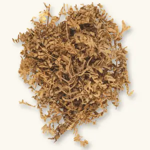 Natural Fern Fronds (8oz) by Betta Botanicals for Shrimp Tanks & Blackwater Aquariums