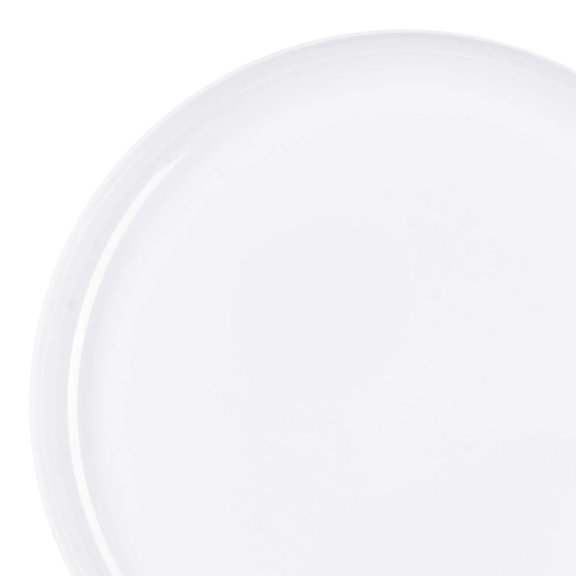 White Flat Round Disposable Plastic Dinner Plates (10")