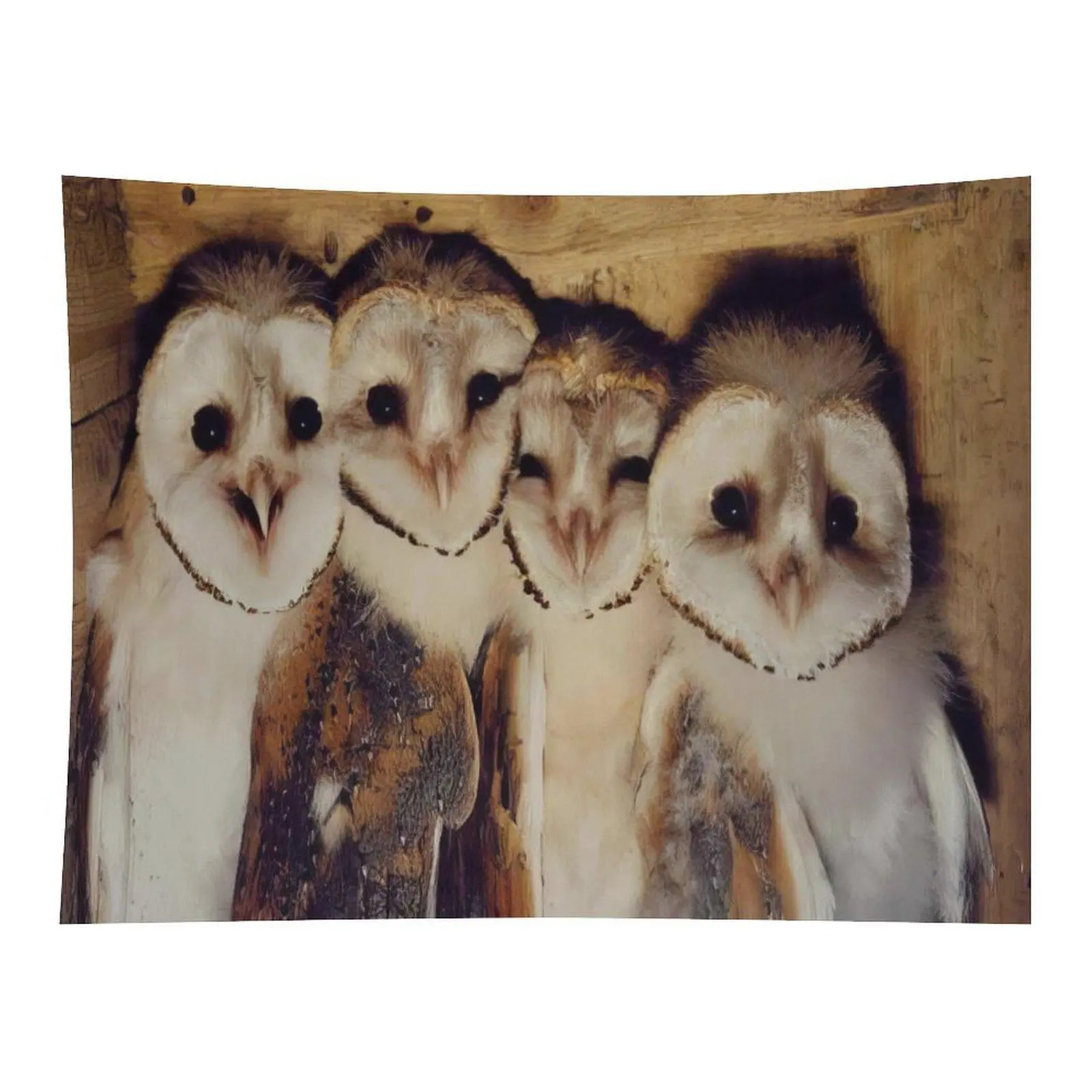 Four Adorable Baby Barn Owls Close‑up Portrait Wall Tapestry Vintage Wooden Texture Background Wildlife Home Wall Decor