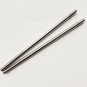 Stainless Steel Reusable Straws, 2 Counts Portable Replacement Straws, Drinking Straws for Home Kitchen Party Picnic