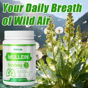 Mullion NAC, Ganoderma and Elderberry Capsules--Phlegm-clearing and throat-soothing formula, relieves dry cough, respiratory support supplement, airway and immune health formula, dietary capsules