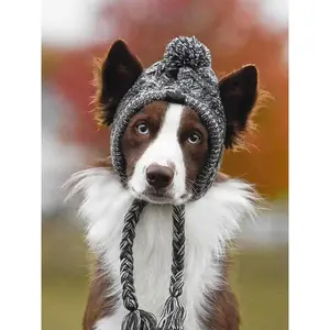Canine Cap Companion