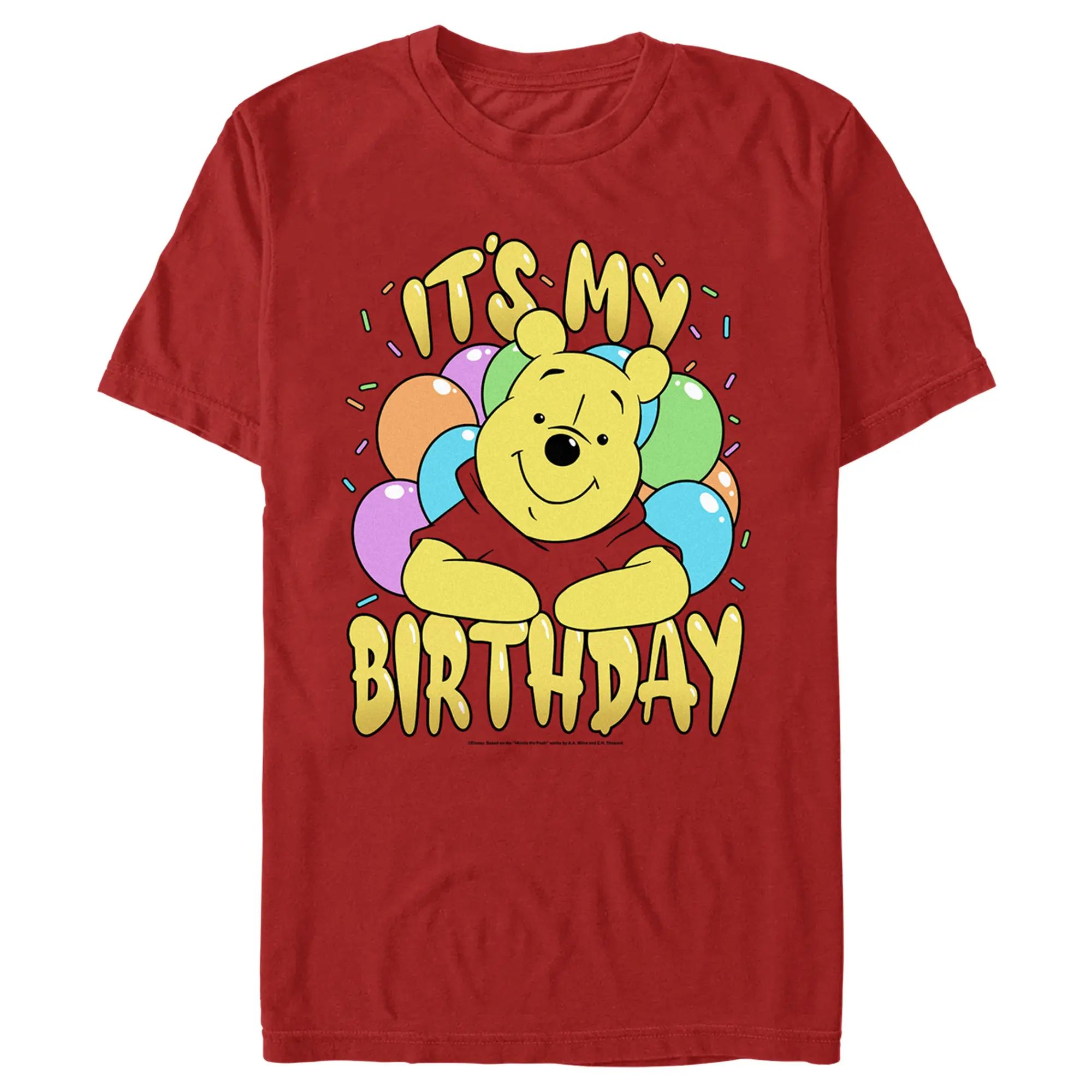 Men's Winnie the Pooh It's My Birthday T-Shirt