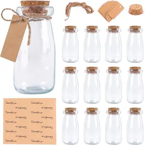 3.4oz Small Glass Jars with Lids, 12PCS Mini Glass Jars with Cork Twine Tags & Stickers, Versatile Potion Bottle Honey Spice Vials Candy Jars for DIY Crafts Birthday Wedding Gifts Party Favors