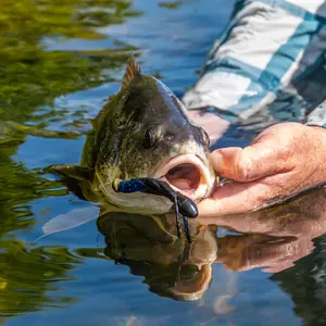 Floatzilla Soft Lure Float Accessories - Craw Head Soft Plastic jig & Craw Trailers Bait for All Game Fish Terminal Tackle Floats for Bass Trout Walleye Crappie Soft Lure Fishing