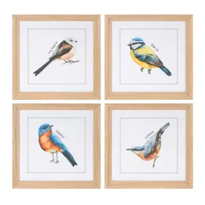 Melrose 96098DS 9.75 in. MDF & Glass & Paper Framed Bird Print, Blue, Yellow & White - Set of 8