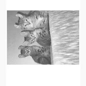 Inkless Portable Printer, Wireless Bluetooth Thermal Printer for Travel & Mobile Use, Compatible with iOS, Android, Laptop, Supports 8.5"x11" US Letter & A4 Paper, No Ink Needed, Ideal for Home & Office