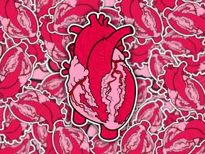 Anatomical Heart Sticker