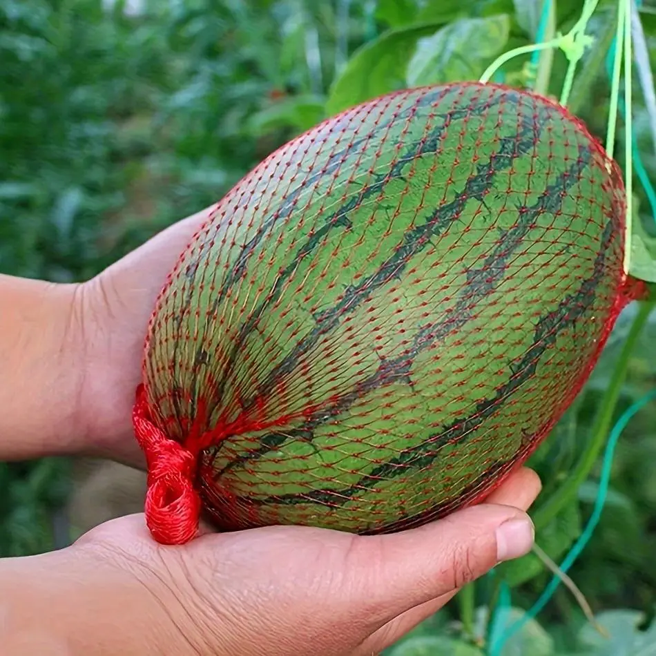 100pcs, Watermelon Nets, Hanging Reusable Watermelon Nets Bags Melon Hammocks Cradles For Supporting Garden Growing Cantaloupes, Vegetables, Honeydew, Cucumbers, Plant Support Structures, Garden Supplies, Gardening Supplies