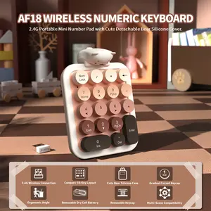 Ajazz AF18 Wireless Numeric Keypad, Digital Keypad, 2.4G USB Wireless Connection, Ergonomic 18-Key Compact Silicone Bear Design, Gradient Keycaps, Detachable & Portable Number Pad for PC, Laptop