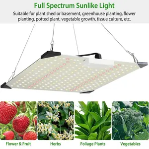 1000W LED Grow Light Full Spectrum for Indoor Plants, Ideal for All Growth Stages from Seedling to Bloom 1000W LED Grow Light Full Spectrum for Indoor Plants, Ideal for All Growth Stages from Seedling to Bloom