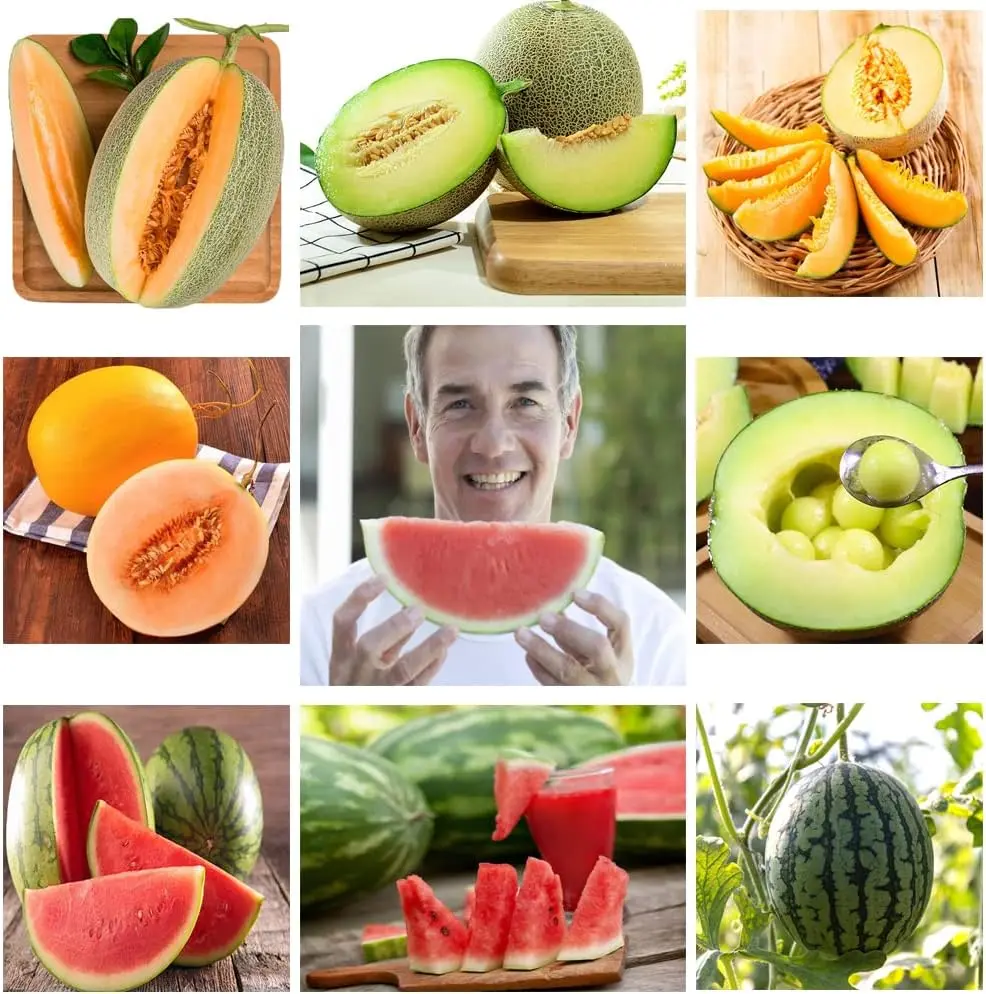 Heirloom Melon Mix Seeds – Wide Variety Heirloom Melon Mix – 5 or More Unique, Curated Varieties per Packet | USA Grown Heirloom Seeds by Jaquelina Garden|