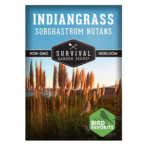 Survival Garden Seeds - Indiangrass Seeds for Planting (Sorghastrum nutans) | Golden Prairie Plant | Drought-Tolerant North American Native Grass - 1 Pack