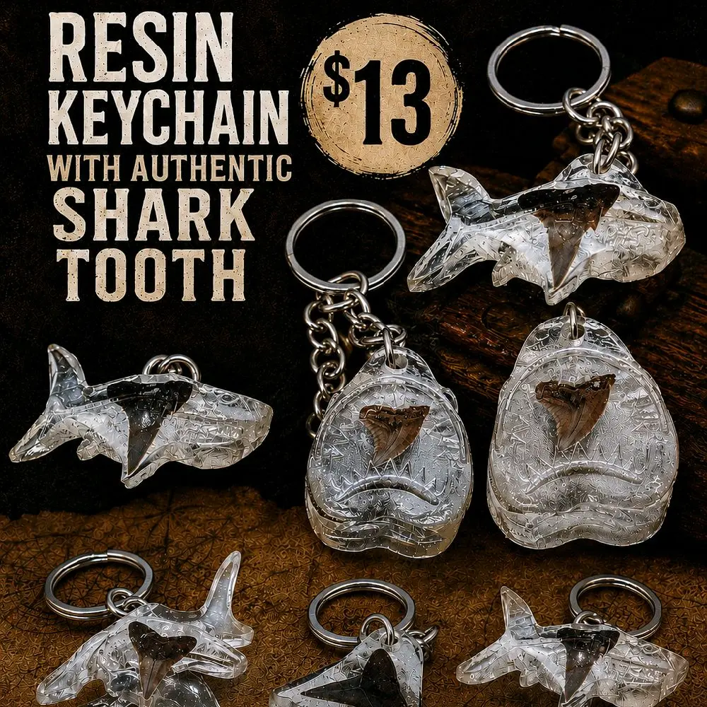 Handmade resin cast shark shaped keychain with authentic shark tooth