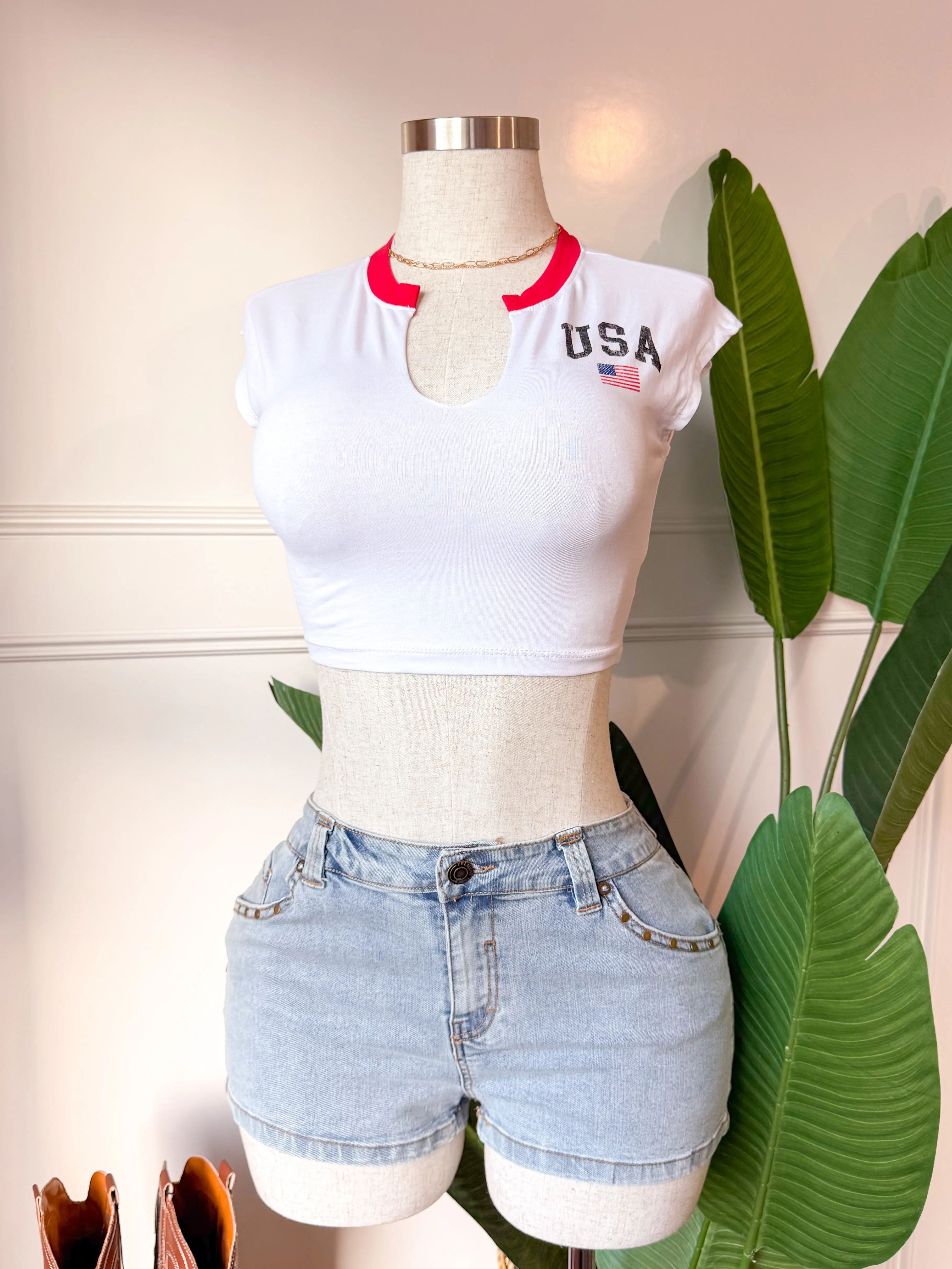 USA Crop Top