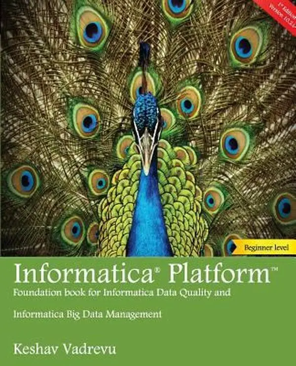 USED-Informatica Platform: A beginner's guide - Foundation book for Informatica Data Quality and Big Data Management by Vadrevu, Keshav (Paperback)