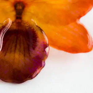 Yellow Pink Nobile Orchid pin.