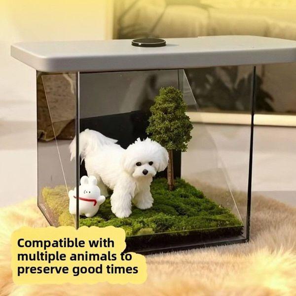 Pet Holographic Projection Digital House Acrylic Memorial Box for Cat & Dog 3D Projector Eternal Display Case with Green Grass and Tree
