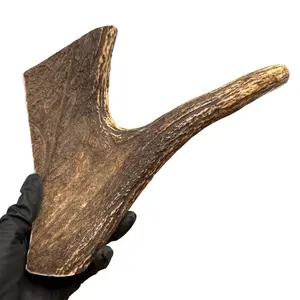 11" Large Moose Paddle + Tine (Medium-high Density)