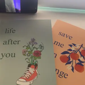 hayley grace 2-book set | save me an orange & life after you.