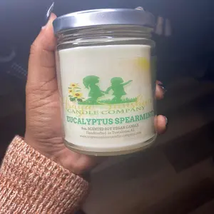 Eucalyptus Spearmint Soy Candle