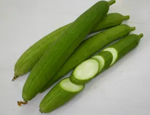 20 Smooth Luffa Gourd Seeds for Planting - Long Sponge Gourd - Luffa Gourd - Muop Huong -Egyptian Cucumber - Vegetable Seeds