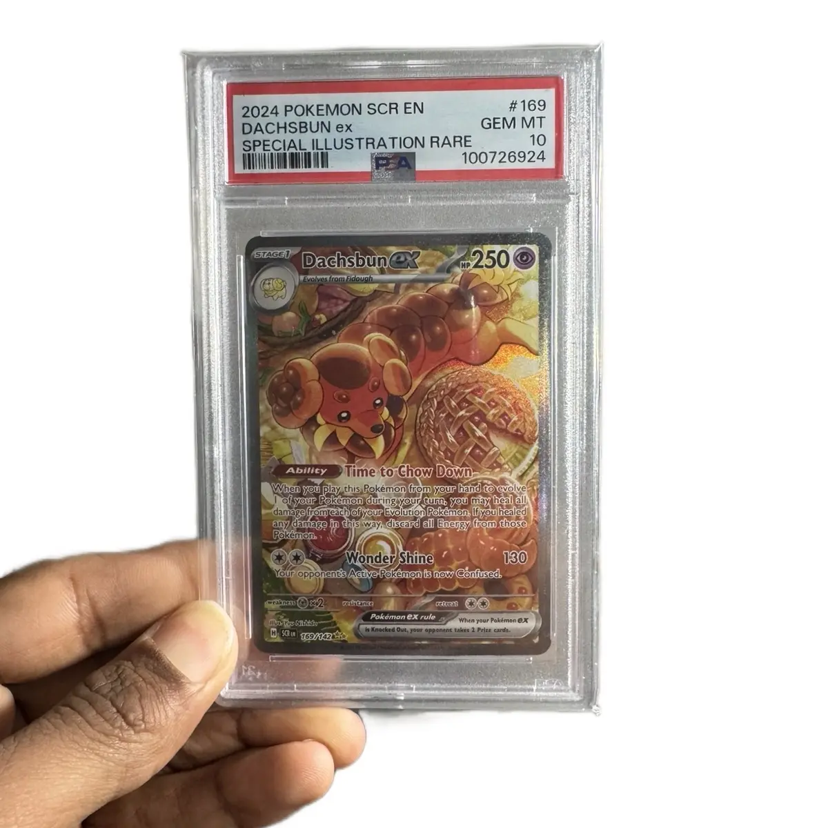 Daschbun Special Illustration Rare PSA 10 - 2024 Pokémon Stellar Crown