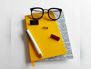 Classroom Chronicles Pin Set