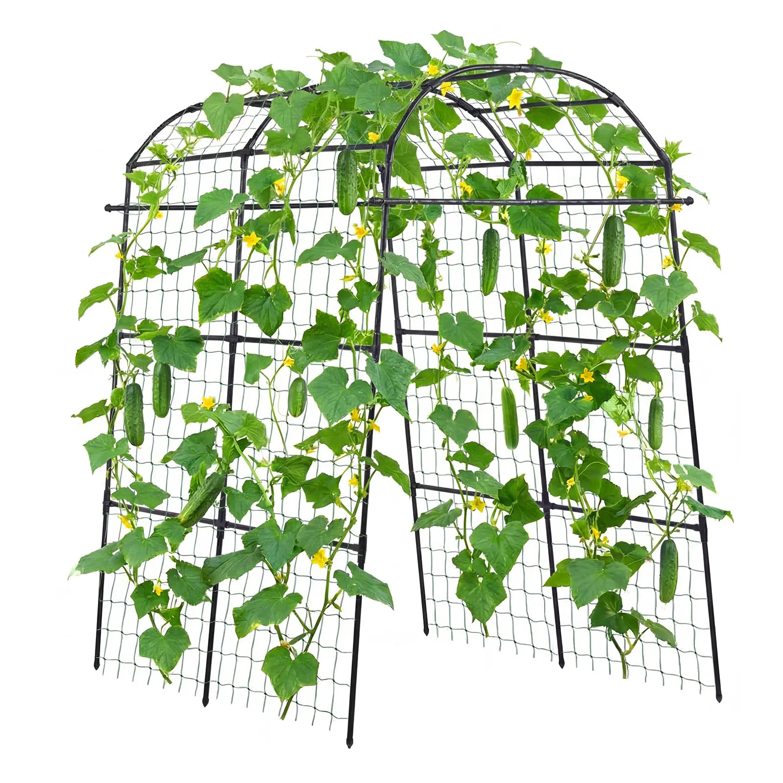 【SummerFinds】VEVOR U-Shape Steel Coated Metal Plant Trellis for Raised Beds, Garden Decor & Outdoor Accessories, Vine Climbing Support (70.87x44.09x82.99 in) - Ideal for Peas, Beans, Vertical Gardening, W/ Gloves, Screwdriver, Pipe Assembly Connectors