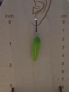 Bitter melon Gourd Plastic dangly earrings