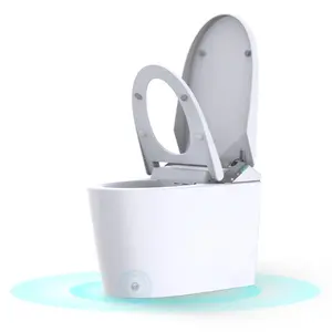 Garvee Smart Toilet,One Piece Bidet Tankless Toilets with Warm Water Sprayer and Dryer,Smart Toilet with Built-In Bidet Heated Seat, Foot Sensor Operation, Dual Auto Flush,LED Display, Night Light