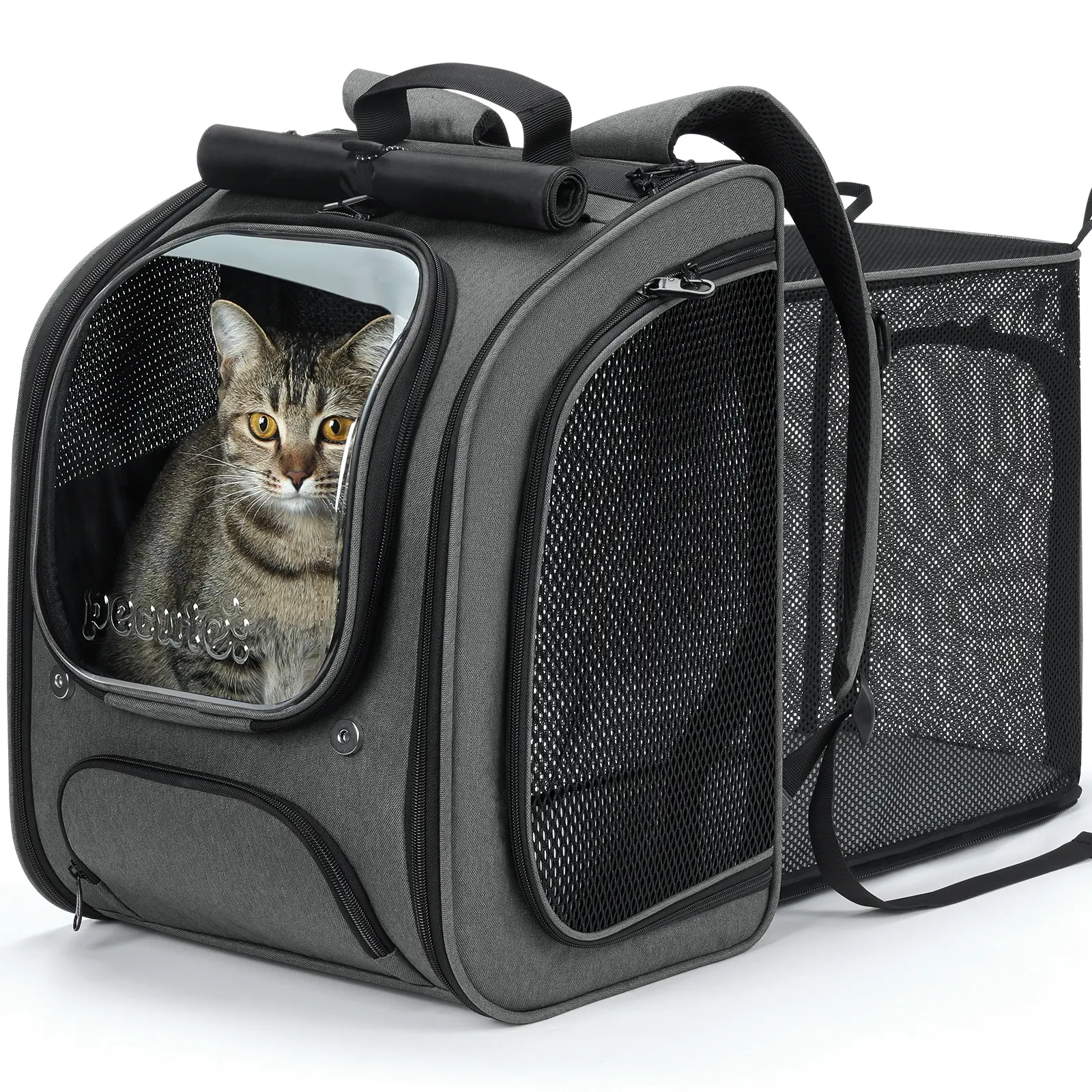 Gray (Expandable)