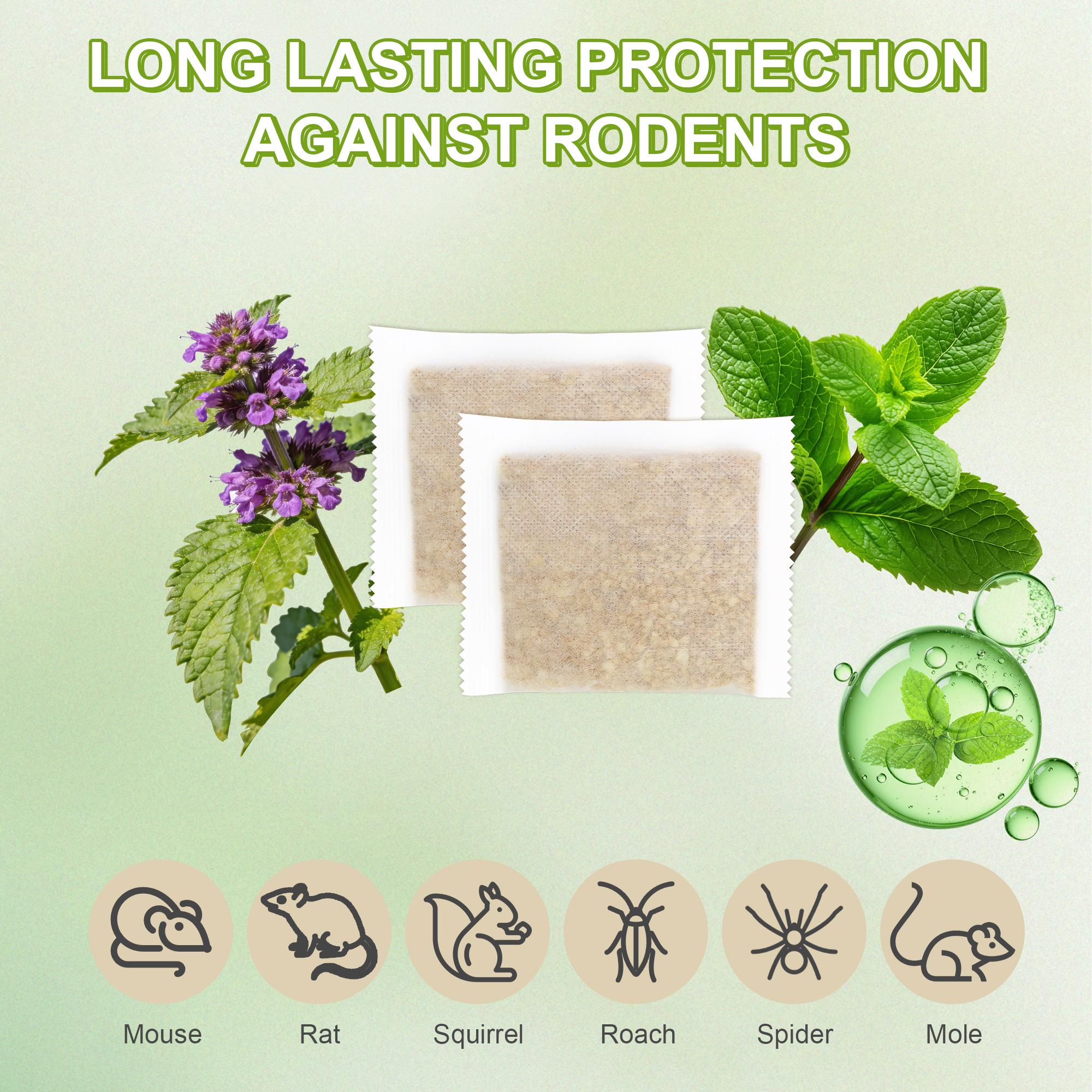 10 Pouches Peppermint Oil Mouse Repellent, Long Lasting Mice Repellent, Natural Formula Rat Repellent, Eco Friendly, Pet & Kids Friendly