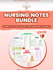 Nursing Notes Bundle