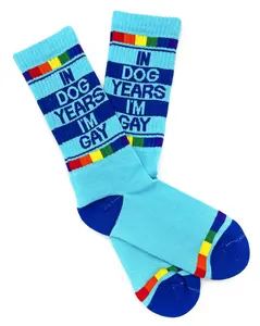 In Dog Years, I'm Gay Socks