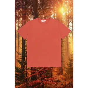 Regenerative Short Sleeve Tee | Rust