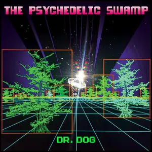 Dr. Dog - The Psychedelic Swamp  [VINYL RECORD - LP]