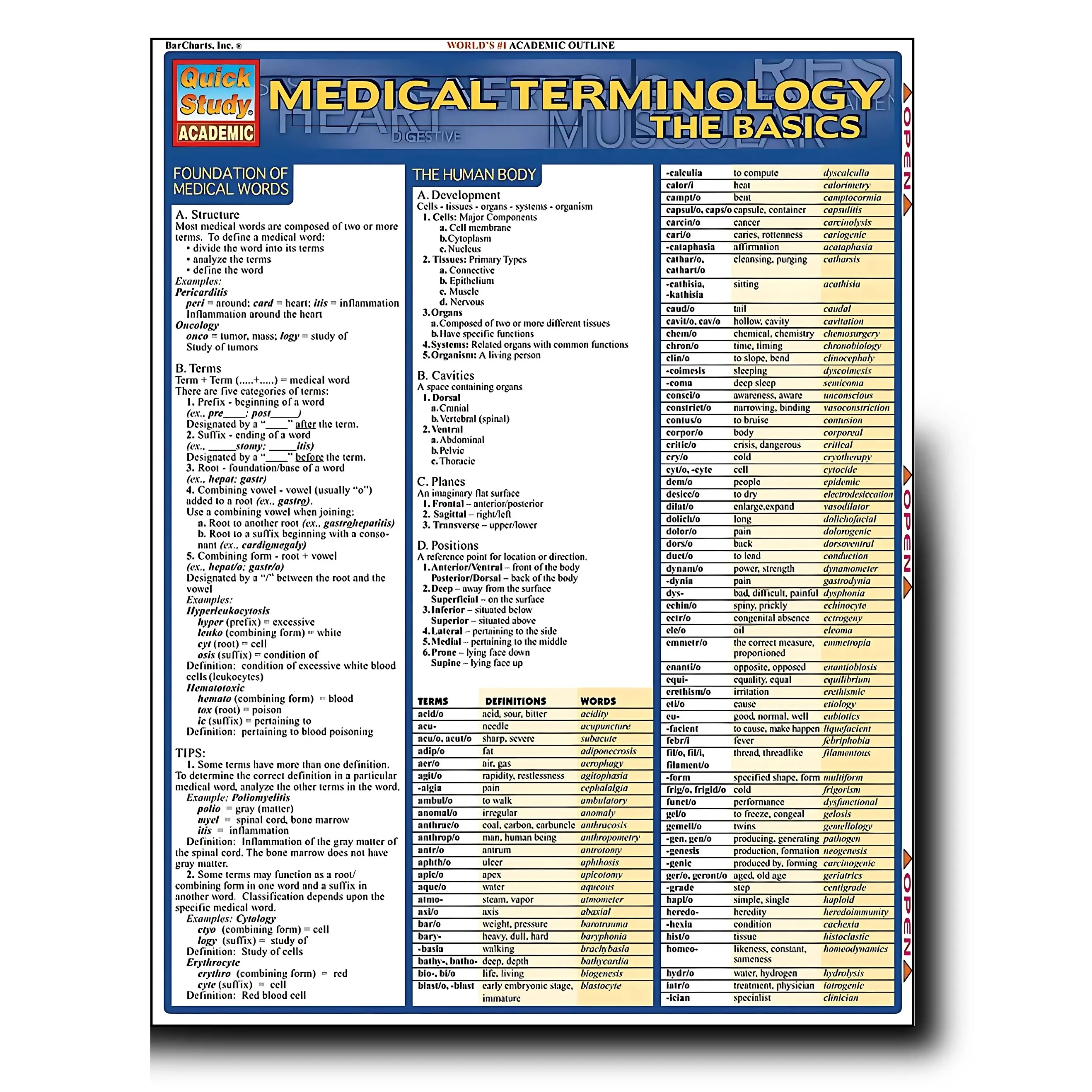 Medical Terminology: The Basics QuickStudy Laminated Reference Guide (QuickStudy Academic) - 6-Page Paperback Learning Materials, EMT/Nursing Study Tool, Coding Resource Covering Words & Directional Terms, 20-Year Best-Seller, Medical Coding
