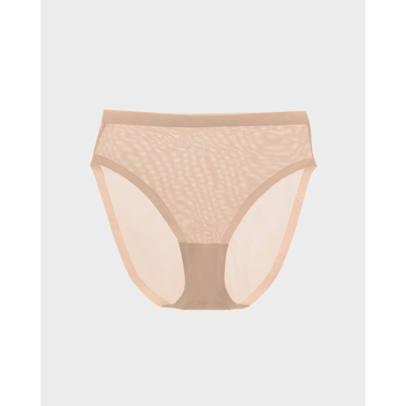 Sheer High Cut Panty
