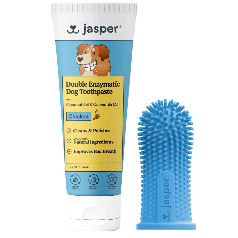 Jasper Toothbrush Kit with Chicken Toothpaste + 360º Finger Toothbrush
