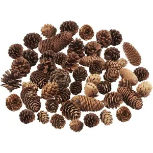 40 PCS Rustic Pine Cone Decorations - Large, Medium and Mini Sizes for Table, Tree and Home Decor