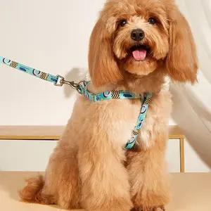 Colorful Triangle Dog Harness with Dog Leash, 1 Set Adjustable Puppy Harness with Leash for Extra-small/small Medium Large Dogs and Cats