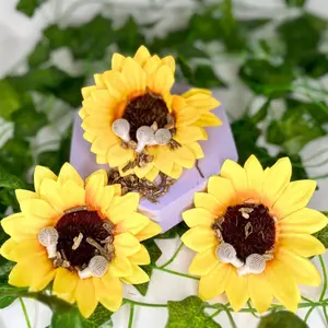 Natous Herbs Yoni Pearls Cleansing Herbal Organic yoni detox